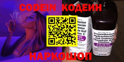 индика Камышлов