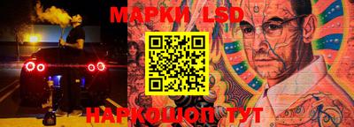 индика Камышлов
