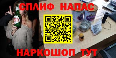 индика Камышлов