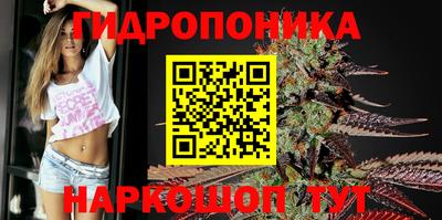 индика Камышлов