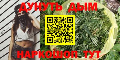 индика Камышлов