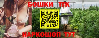 индика Камышлов