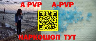 индика Камышлов
