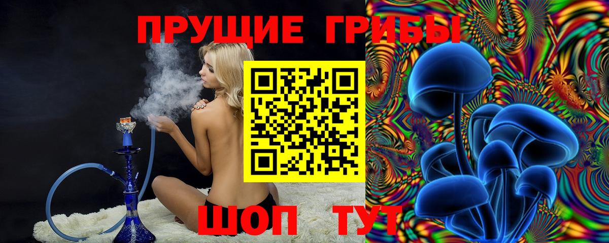 Звенигород  Галлюциногенные грибы мухоморы  Псилоцибиновые грибы прущие грибы  Вход с VPN 